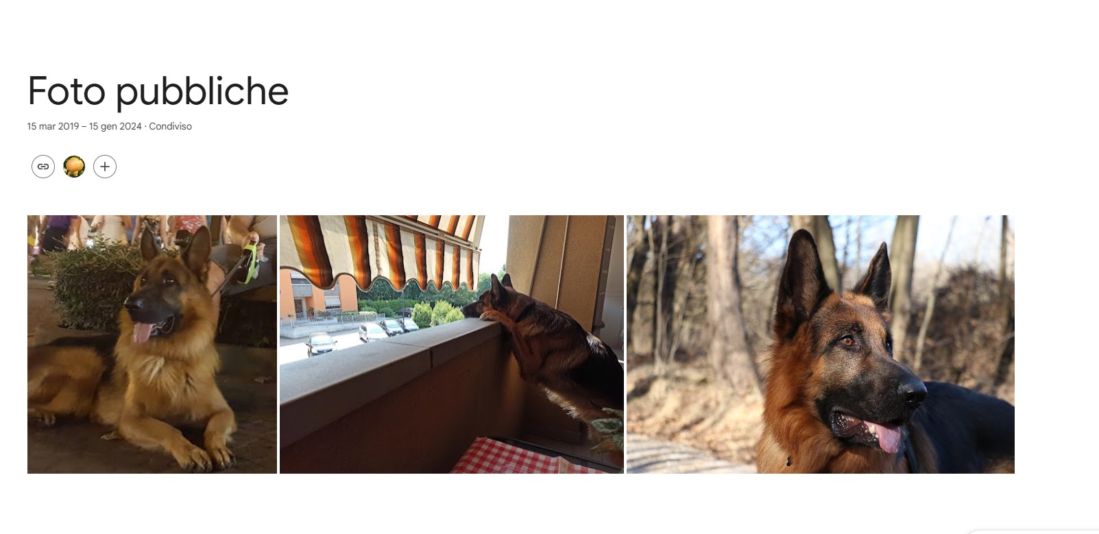 Galleria Google Foto